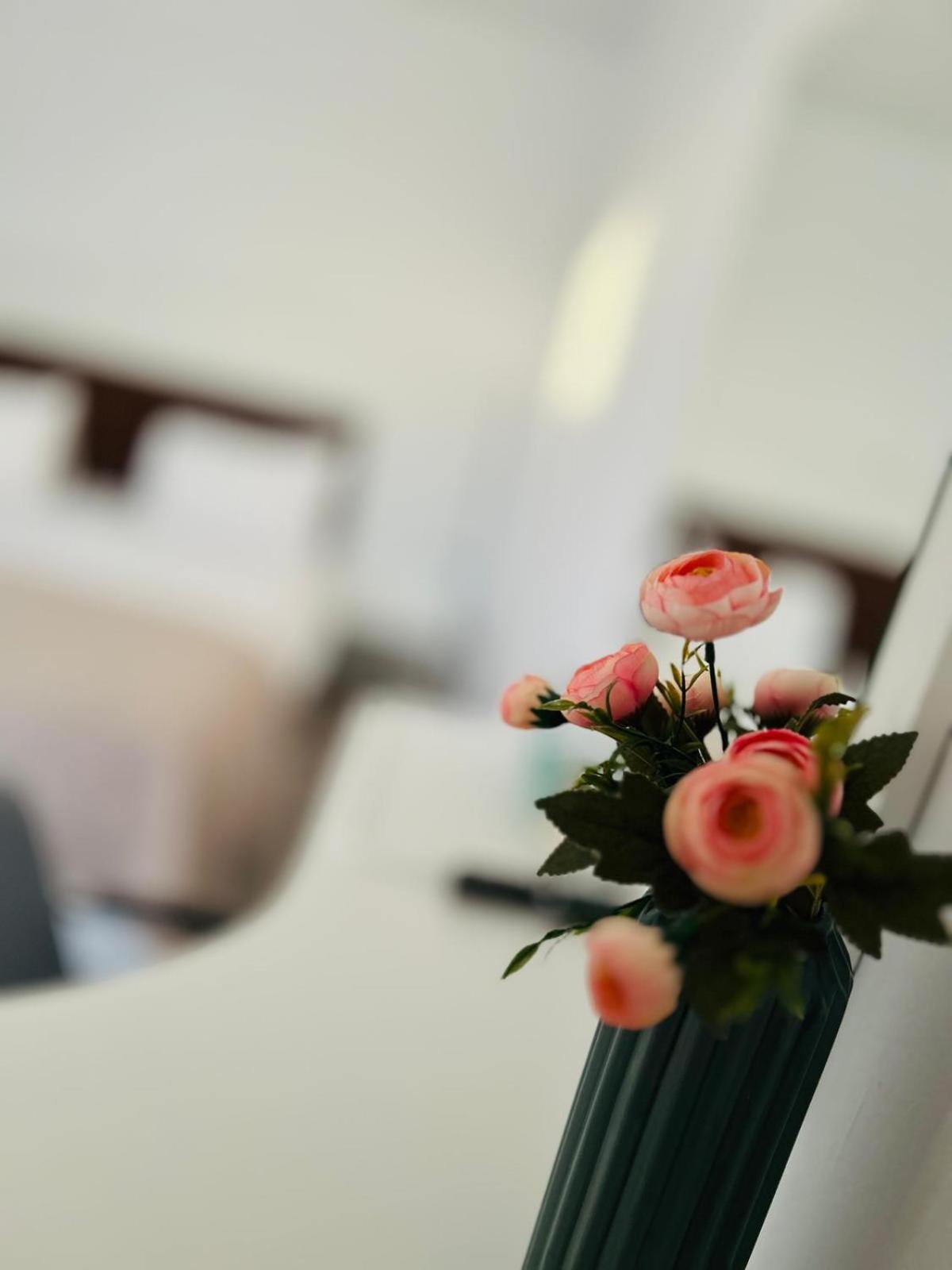 Casa Irina 2Mai Ξενοδοχείο Două Mai Εξωτερικό φωτογραφία